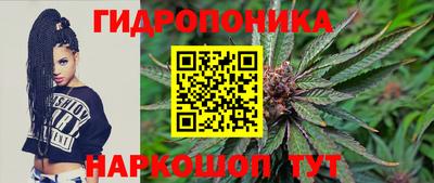 прущие грибы Вязники