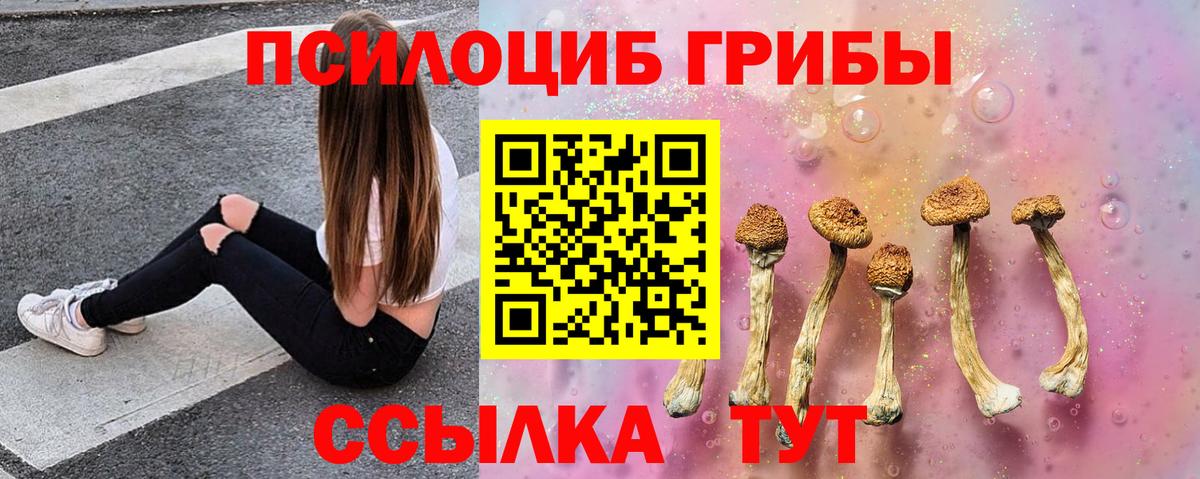 Псилоцибиновые грибы MAGIC MUSHROOMS  Галлюциногенные грибы Magic Shrooms  Вход с VPN  Барнаул 
